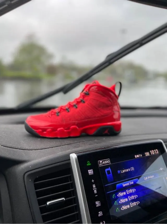 Air Jordan 9 Chile Red