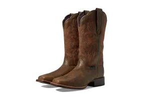 Ariat Primera Stretchfit