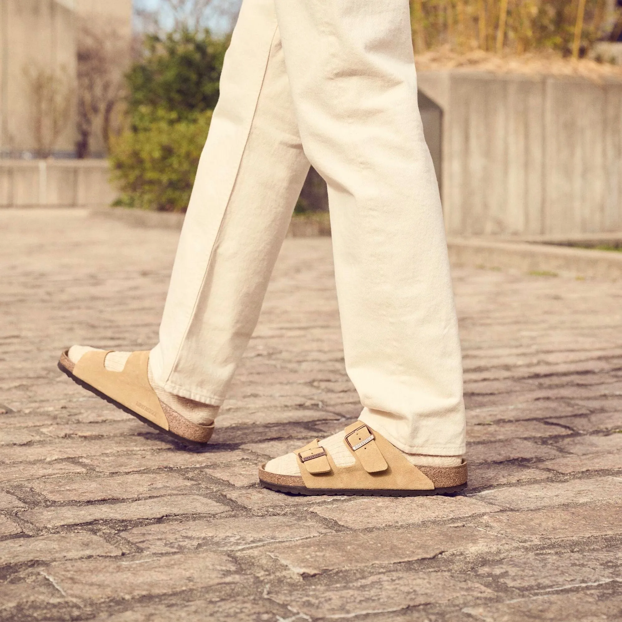 Birkenstock Limited Edition Arizona latte cream suede