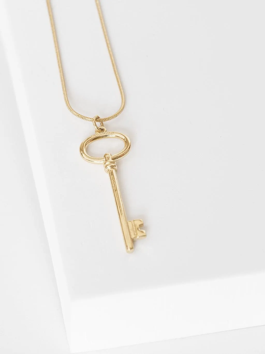 Large Skeleton Key Snake Chain Necklace