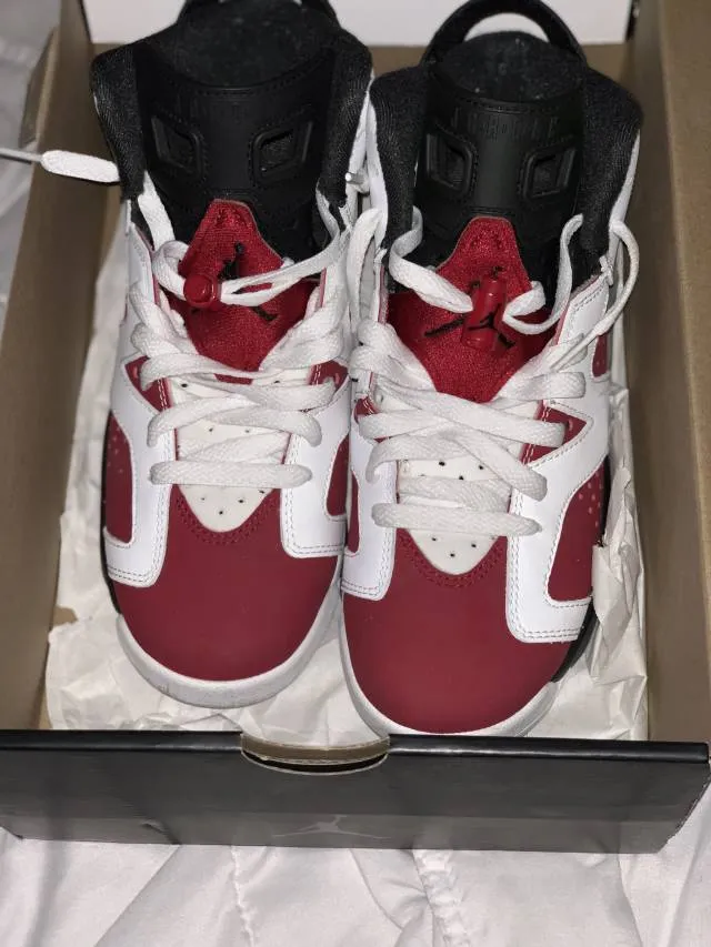 Retro Air Jordan 6 Carmine