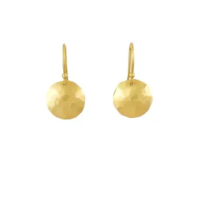 Vex 9ct Yellow Gold earrings - Xanthe Alys